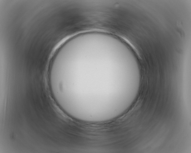X0000114701460200910210959