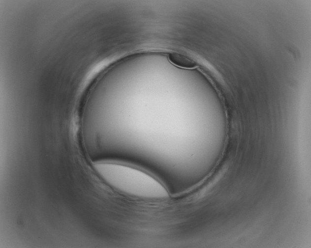 X0000114701461200910210959