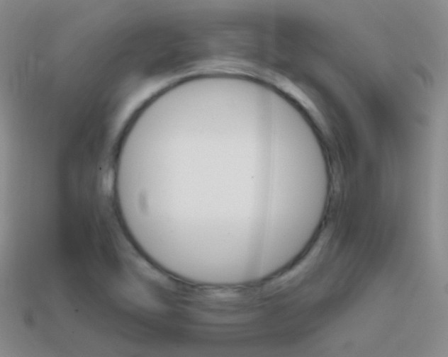 X0000114701462200910210959