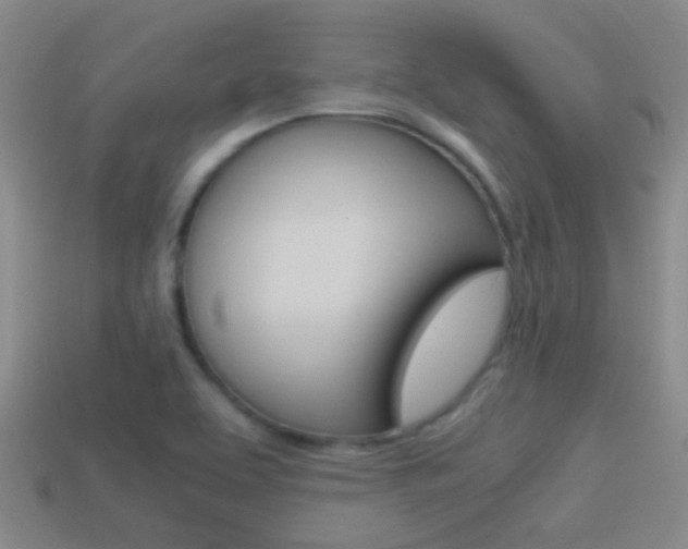 X0000114701463200910210959