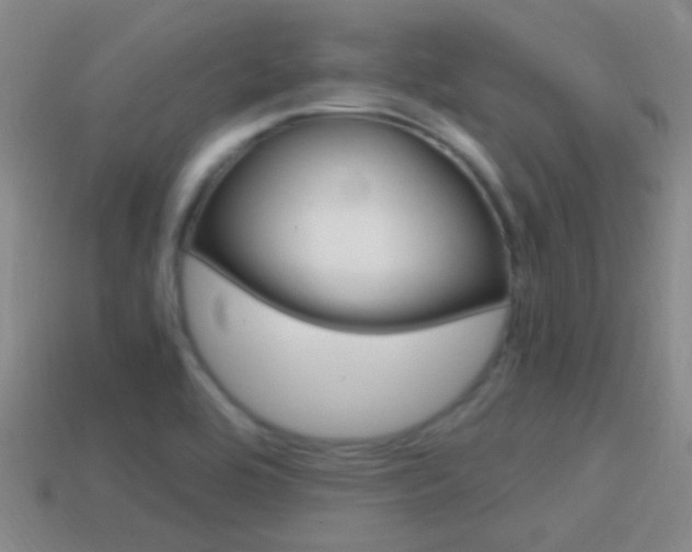 X0000114701464200910210959