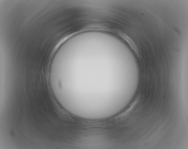 X0000114701465200910210959