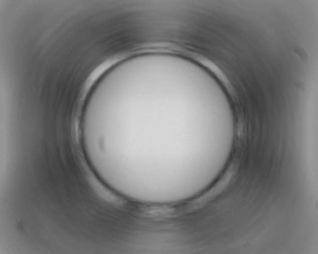 X0000114701466200910210959