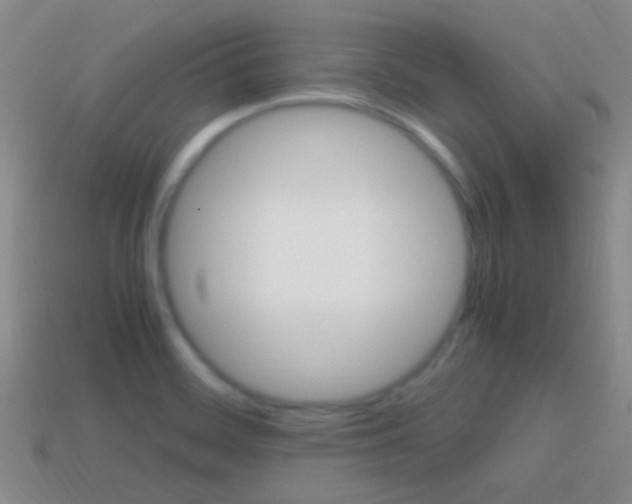 X0000114701468200910210959