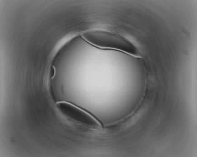 X0000114701469200910210959