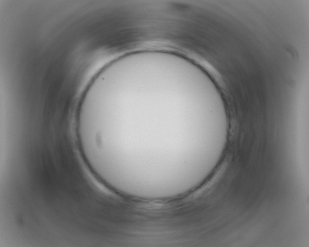 X0000114701470200910210958