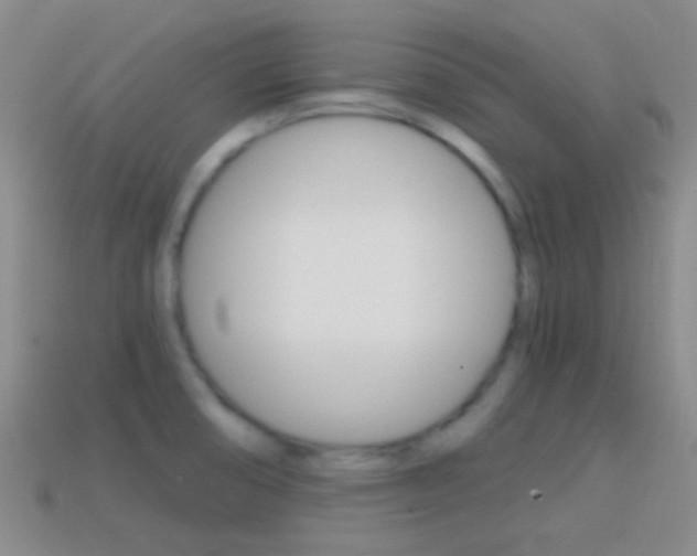 X0000114701474200910210958