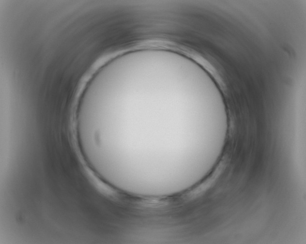 X0000114701478200910210958
