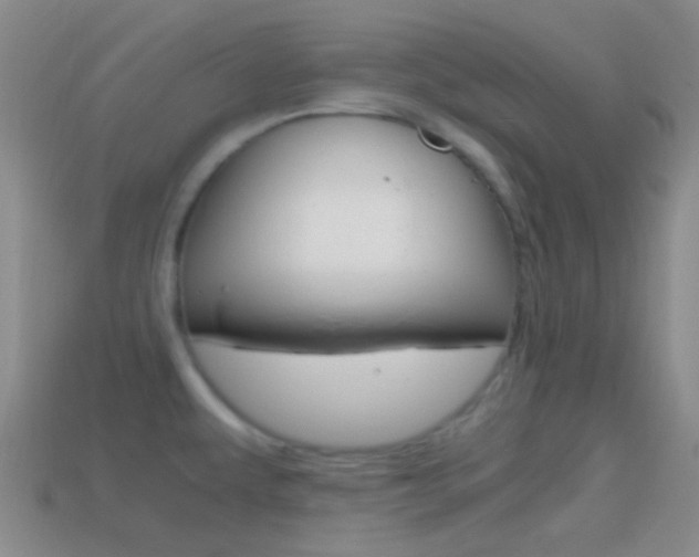 X0000114701479200910210958