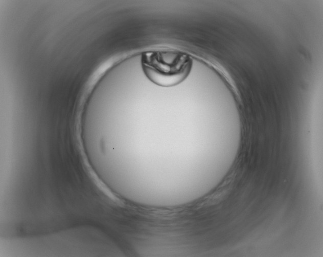 X0000114701480200910210958