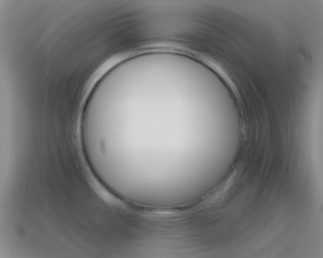 X0000114701482200910210958