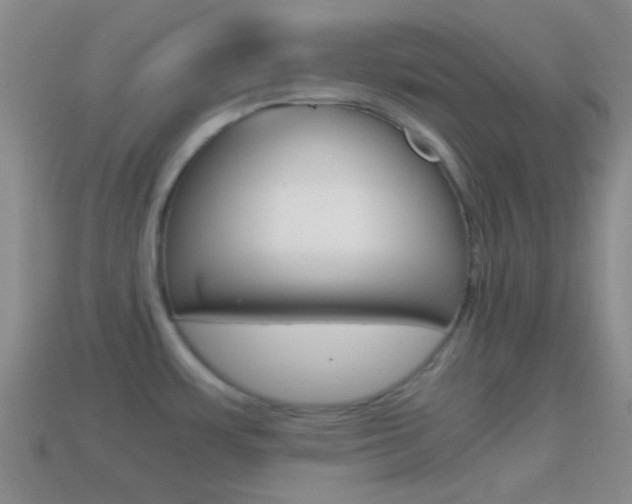 X0000114701483200910210958