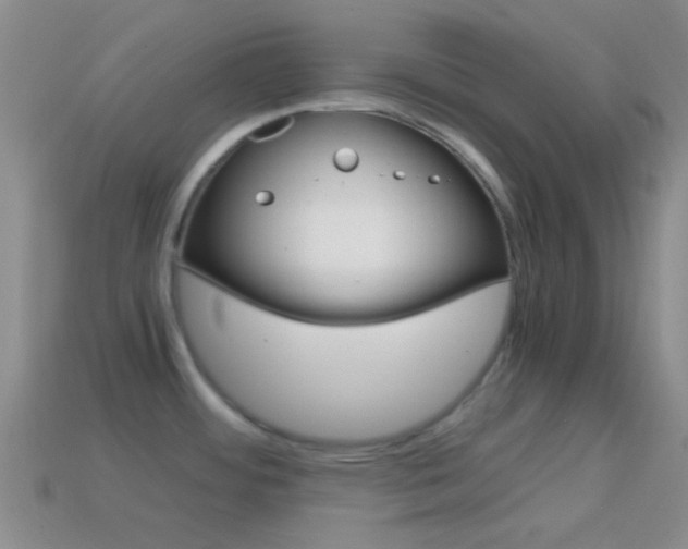 X0000114701484200910210958