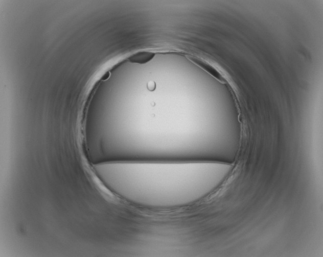 X0000114701485200910210958