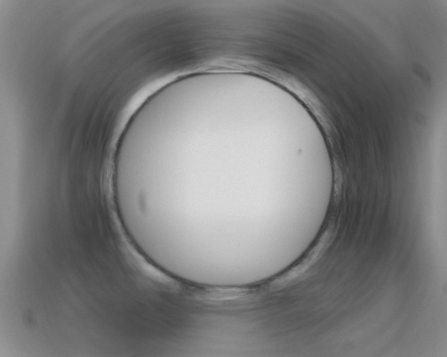 X0000114701486200910210958