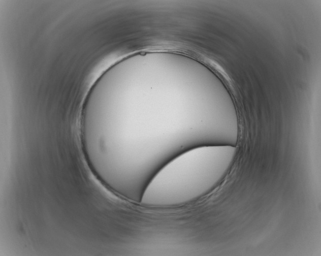 X0000114701487200910210958