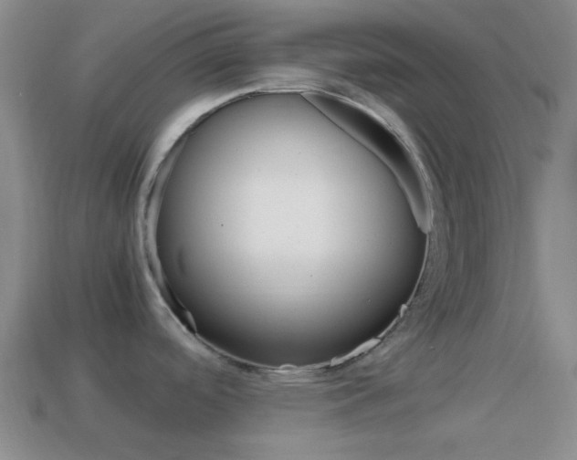 X0000114701488200910210958