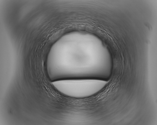 X0000114701489200910210958