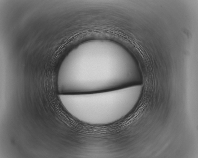 X0000114701490200910210958