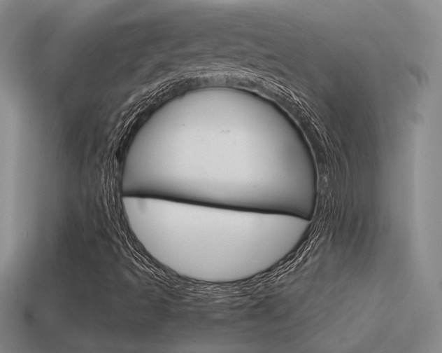X0000114701493200910210958