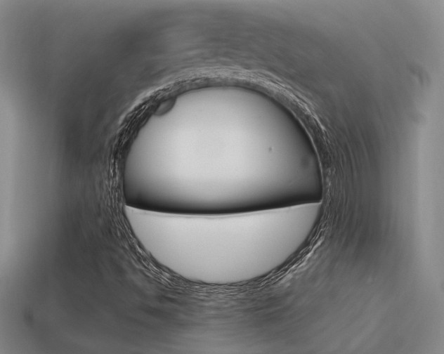 X0000114701494200910210958