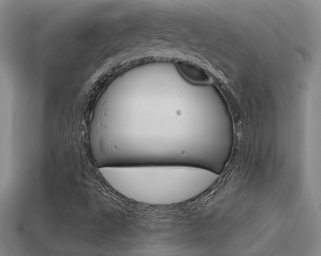 X0000114701495200910210958