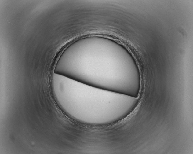 X0000114701497200910210958