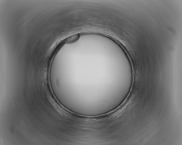 X0000114701499200910210958
