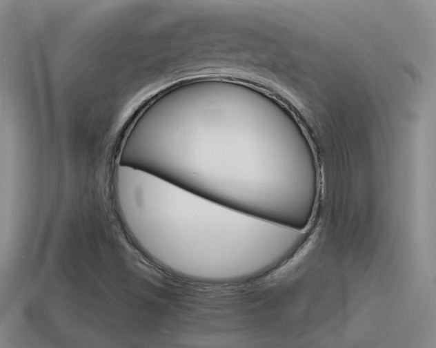 X0000114701501200910210958