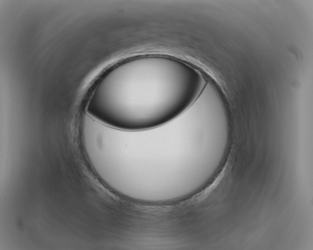 X0000114701502200910210958