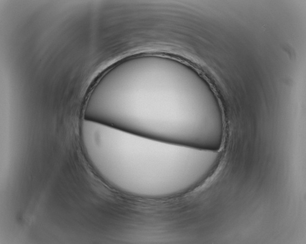 X0000114701505200910210958