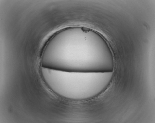 X0000114701507200910210958
