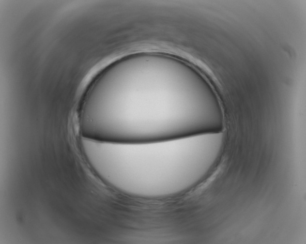 X0000114701509200910210958