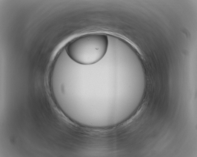 X0000114701510200910210958