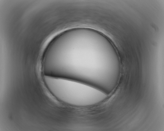 X0000114701511200910210958