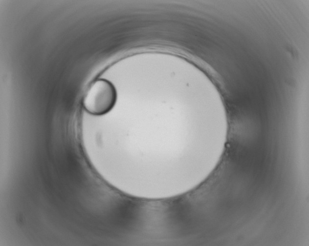X0000114701514200910210958