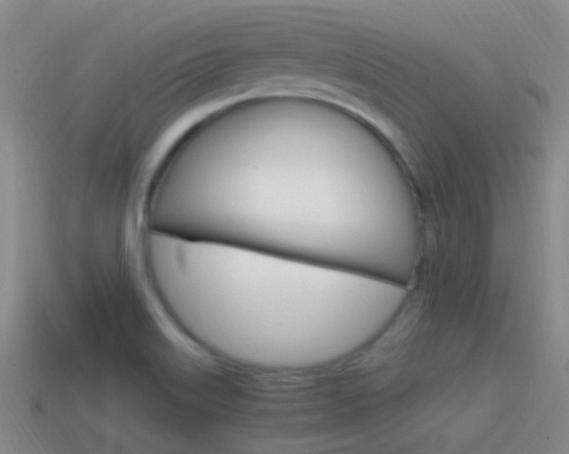 X0000114701515200910210958