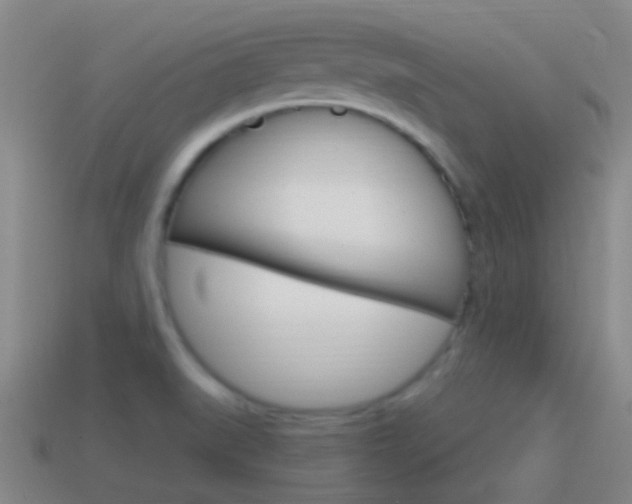 X0000114701519200910210958