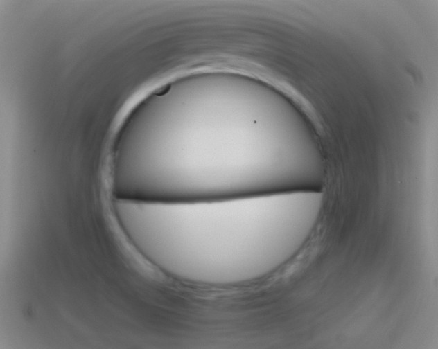 X0000114701522200910210958