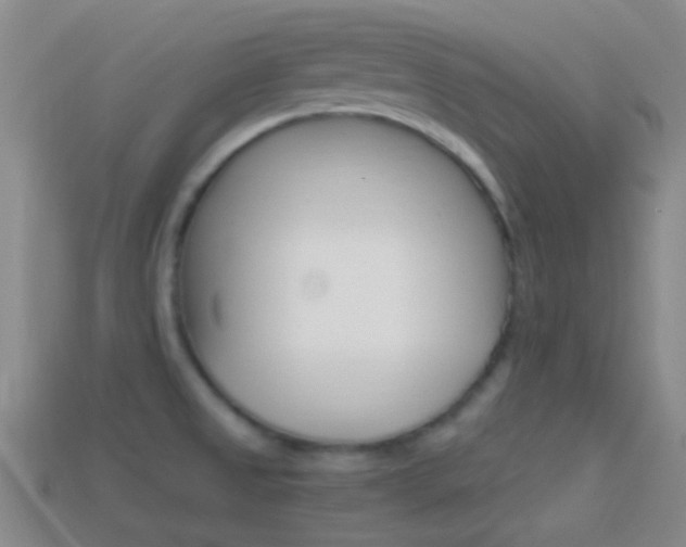 X0000114701525200910210958