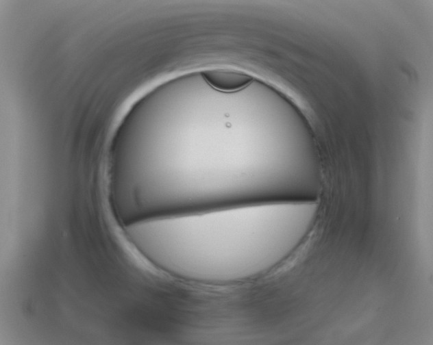 X0000114701526200910210958