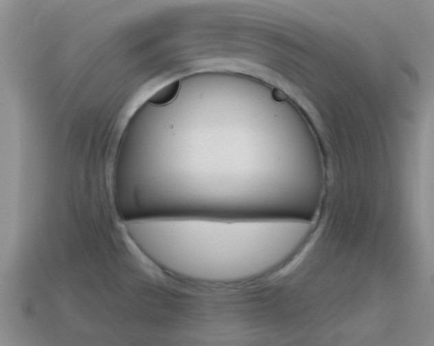 X0000114701529200910210958