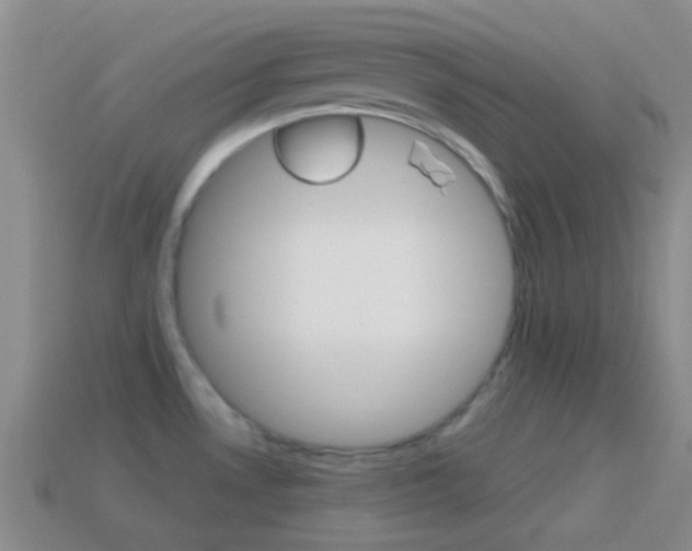 X0000114701530200910210958