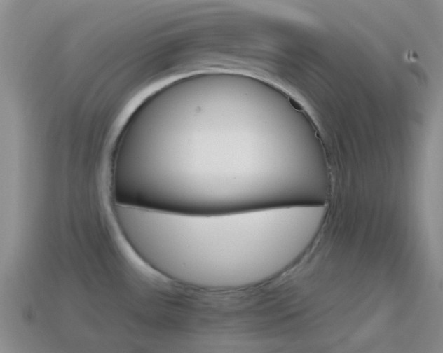 X0000114701531200910210958
