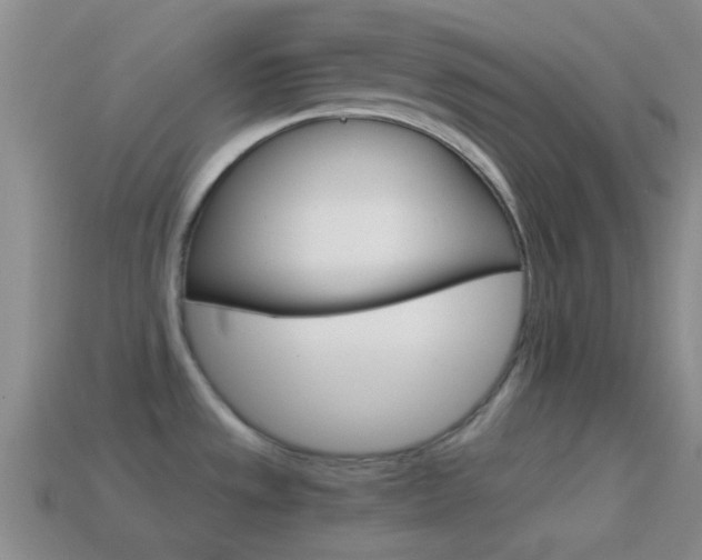 X0000114701533200910210958