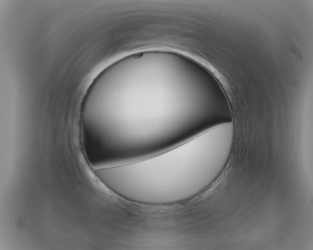 X0000114701534200910210958