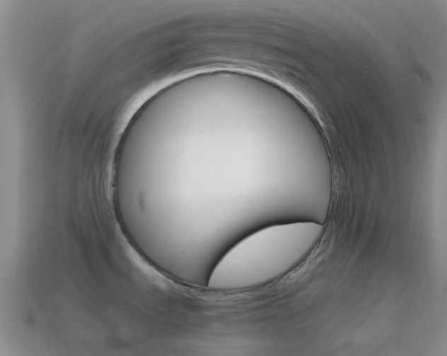 X0000114701535200910210958