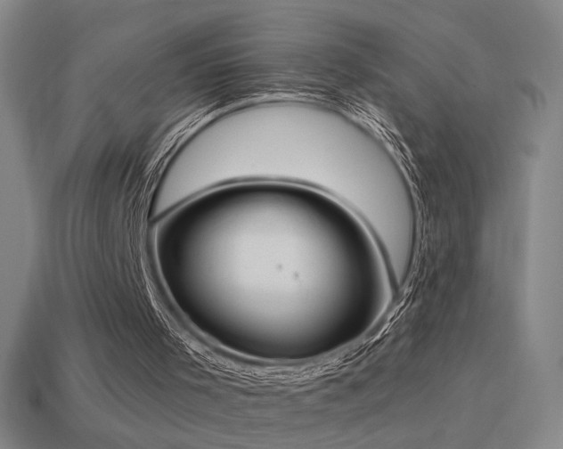 X0000114700001200910211301