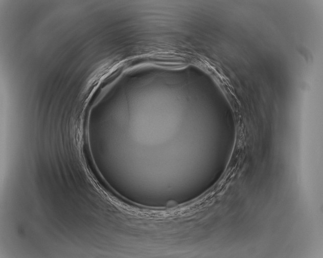 X0000114700002200910211301