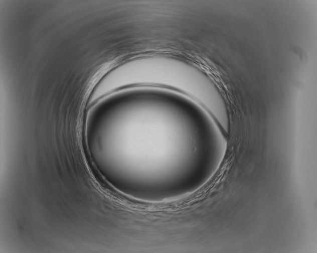 X0000114700003200910211301